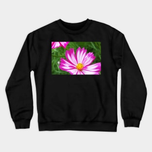 Pink and White Cosmo Crewneck Sweatshirt